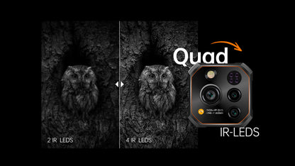 RugOne Xever 7 12+512