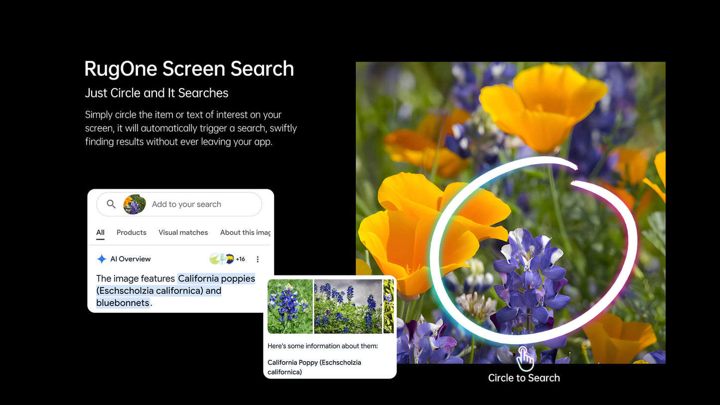 RugOne Xever 7 12+512